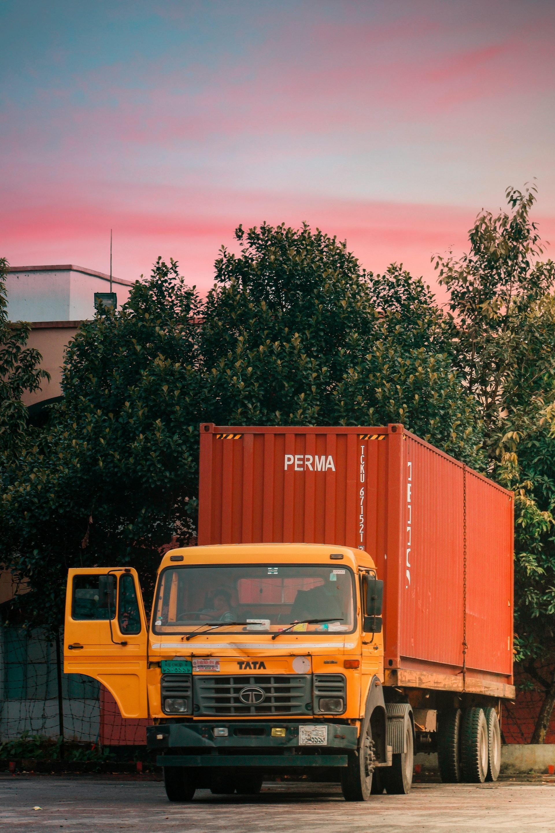 Camioneta amarilla estacionada junto a un árbol verde durante el día